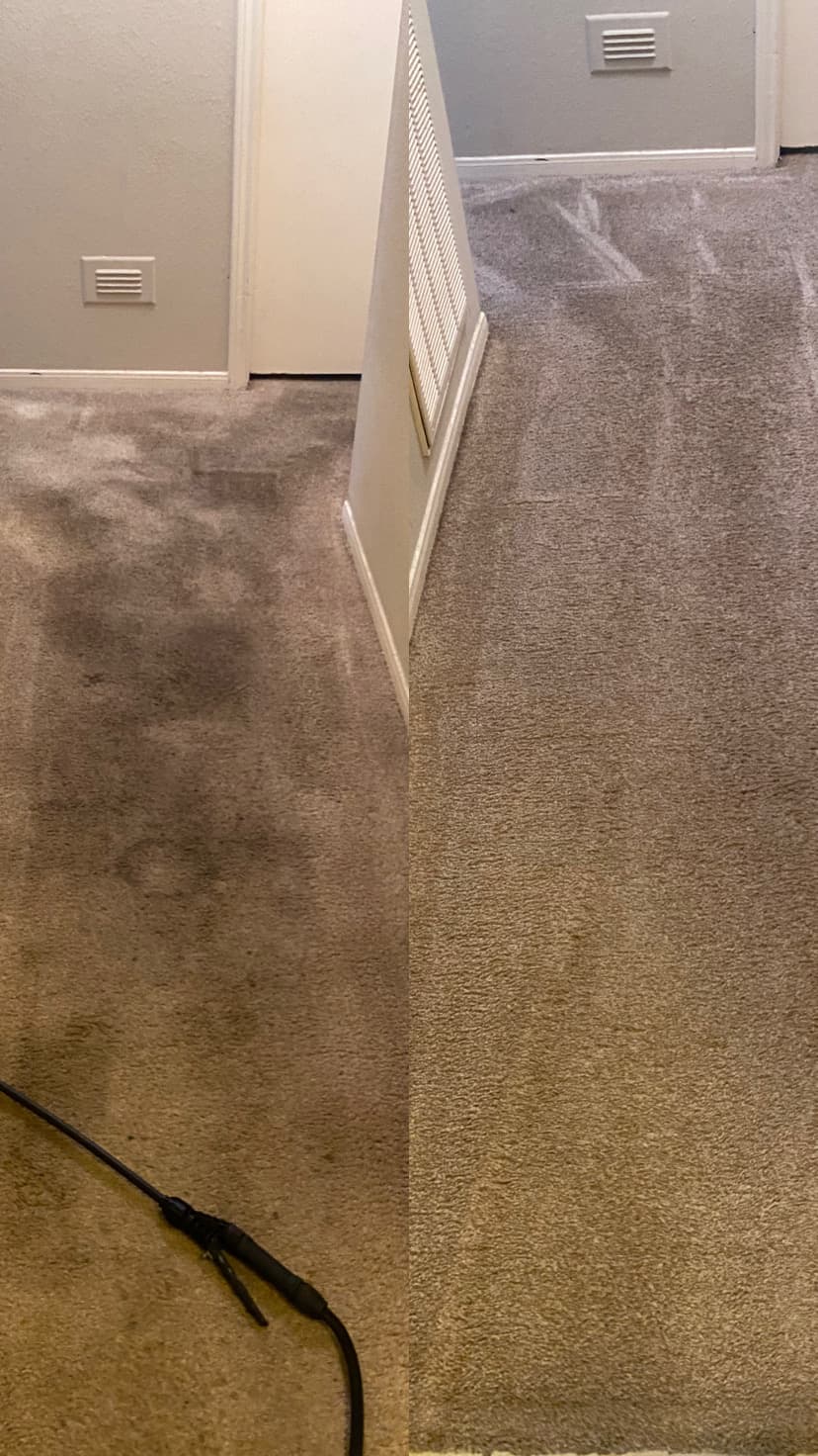 Split view showing a dirty, stained carpet before and after a professional deep cleaning.