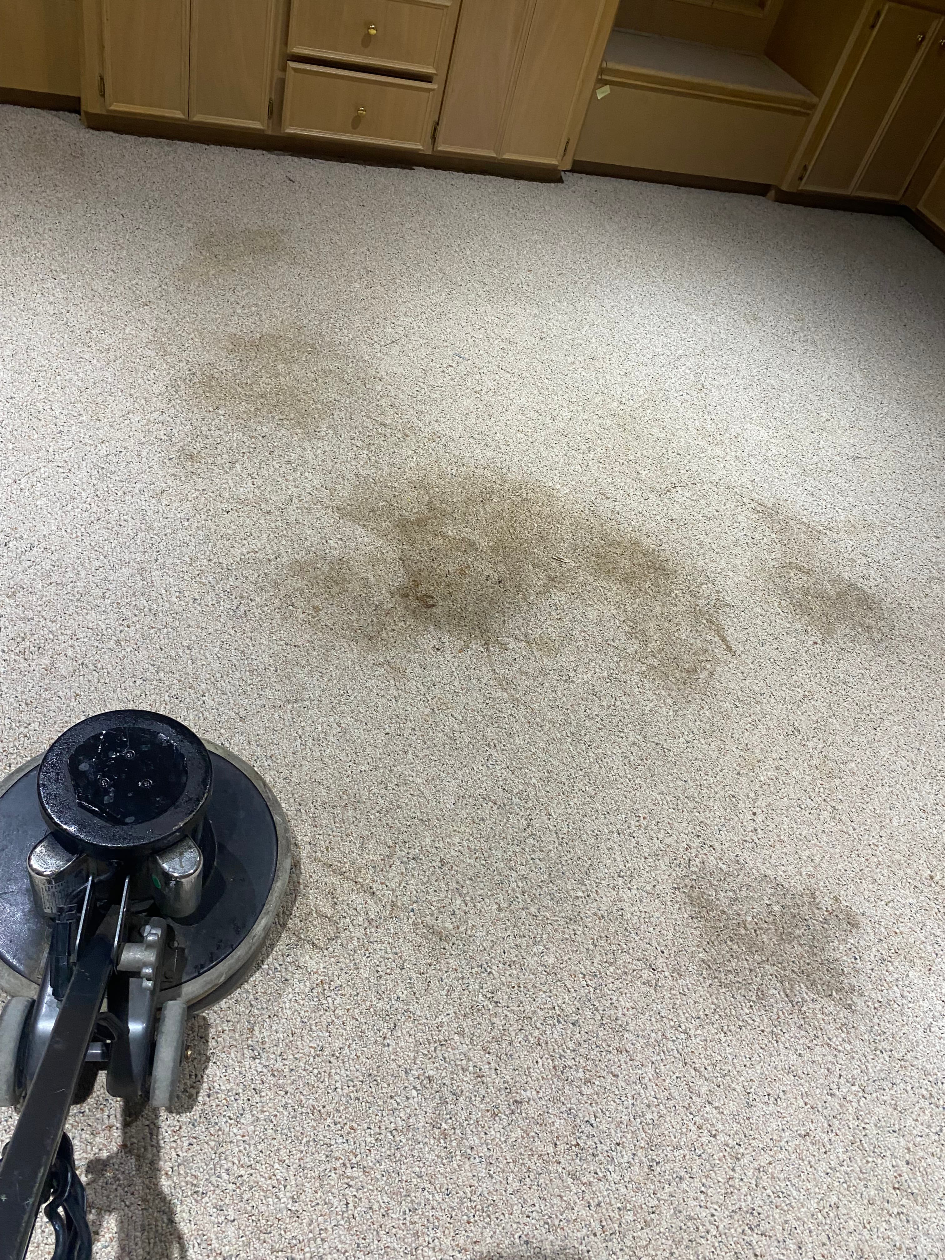 Floor cleaning machine positioned on a beige carpet with several large, dark brown stains.
