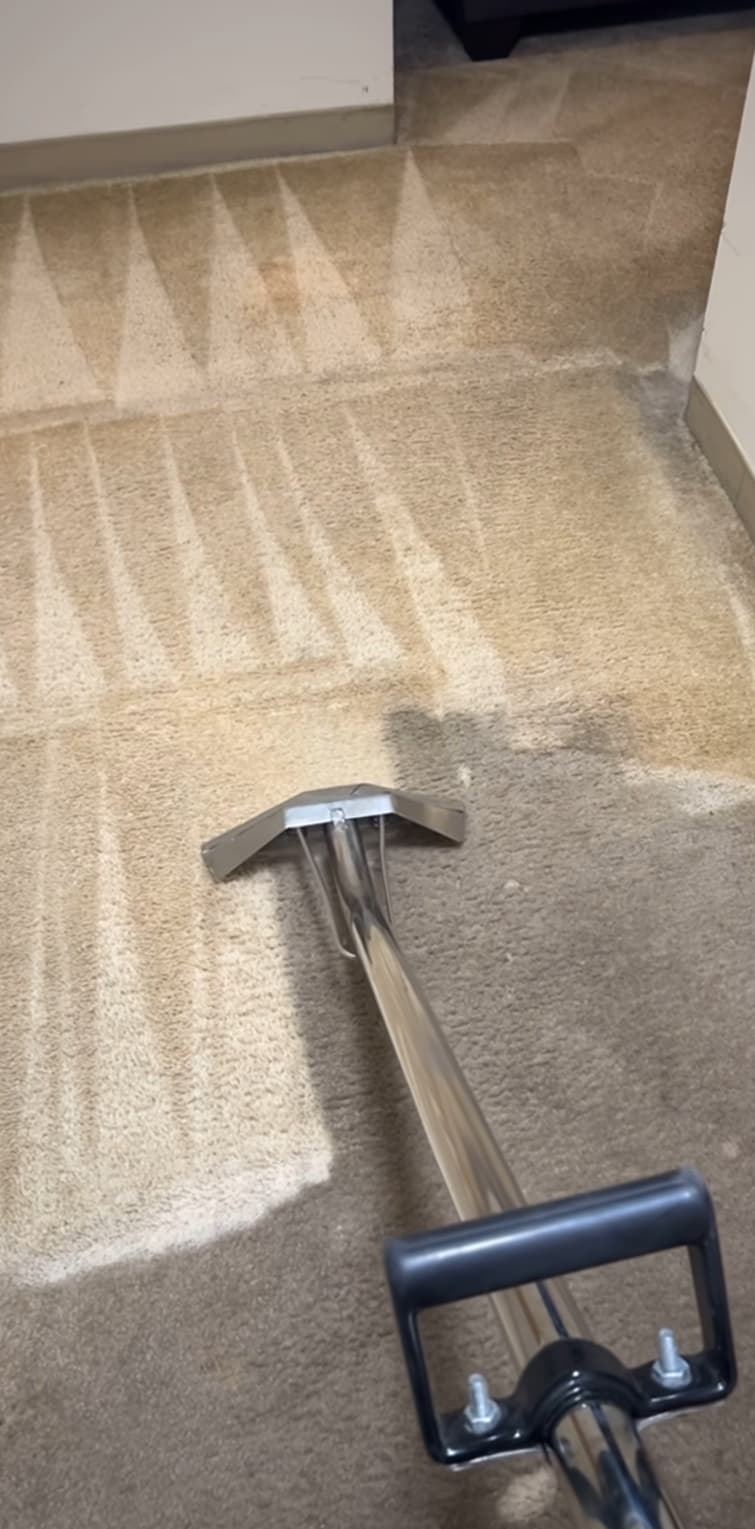 Metal carpet cleaning wand being used to steam clean a dirty, stained beige carpet.