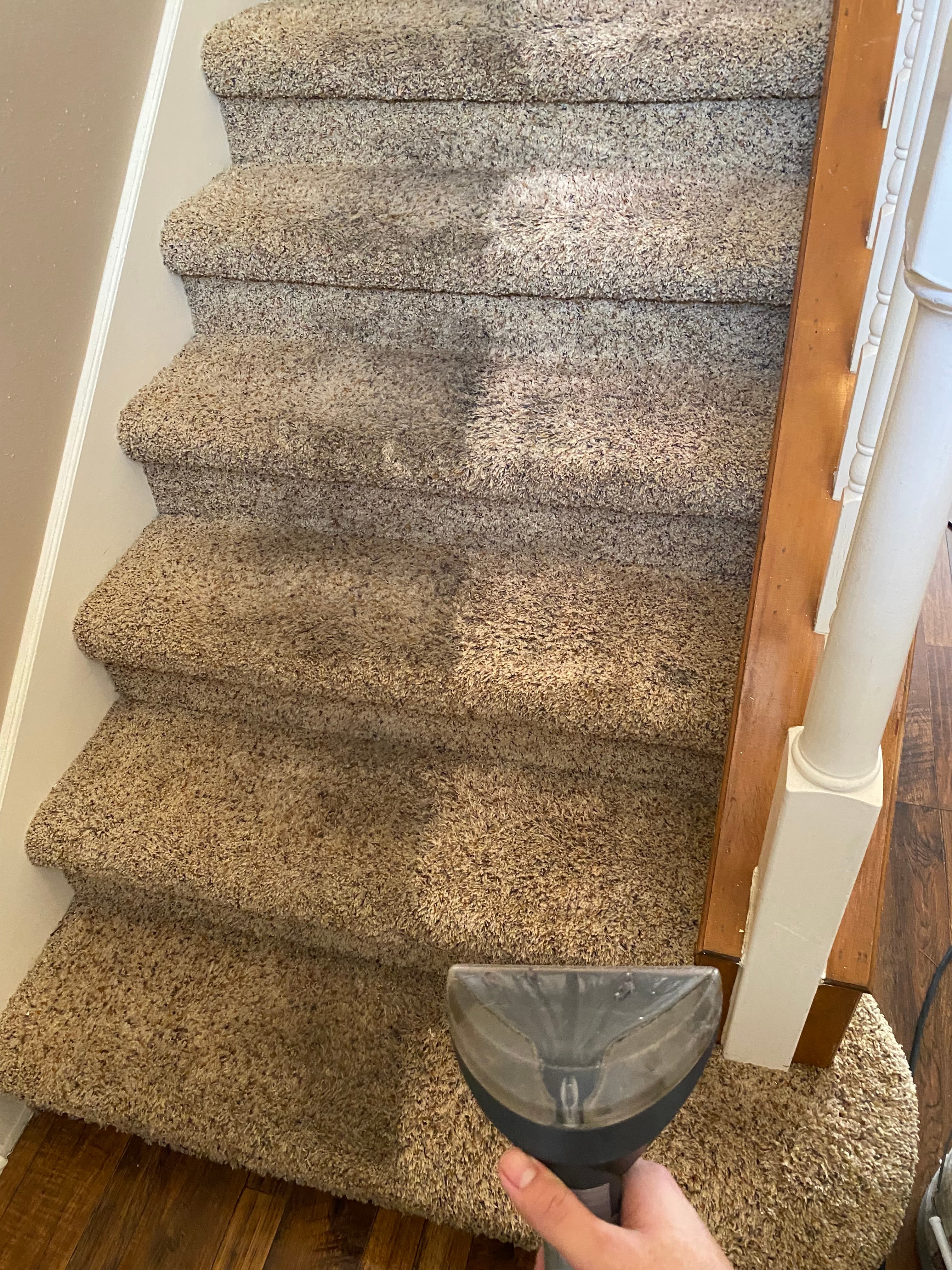 Hand cleaning beige carpeted stairs, showing a stark contrast between dirty and clean.