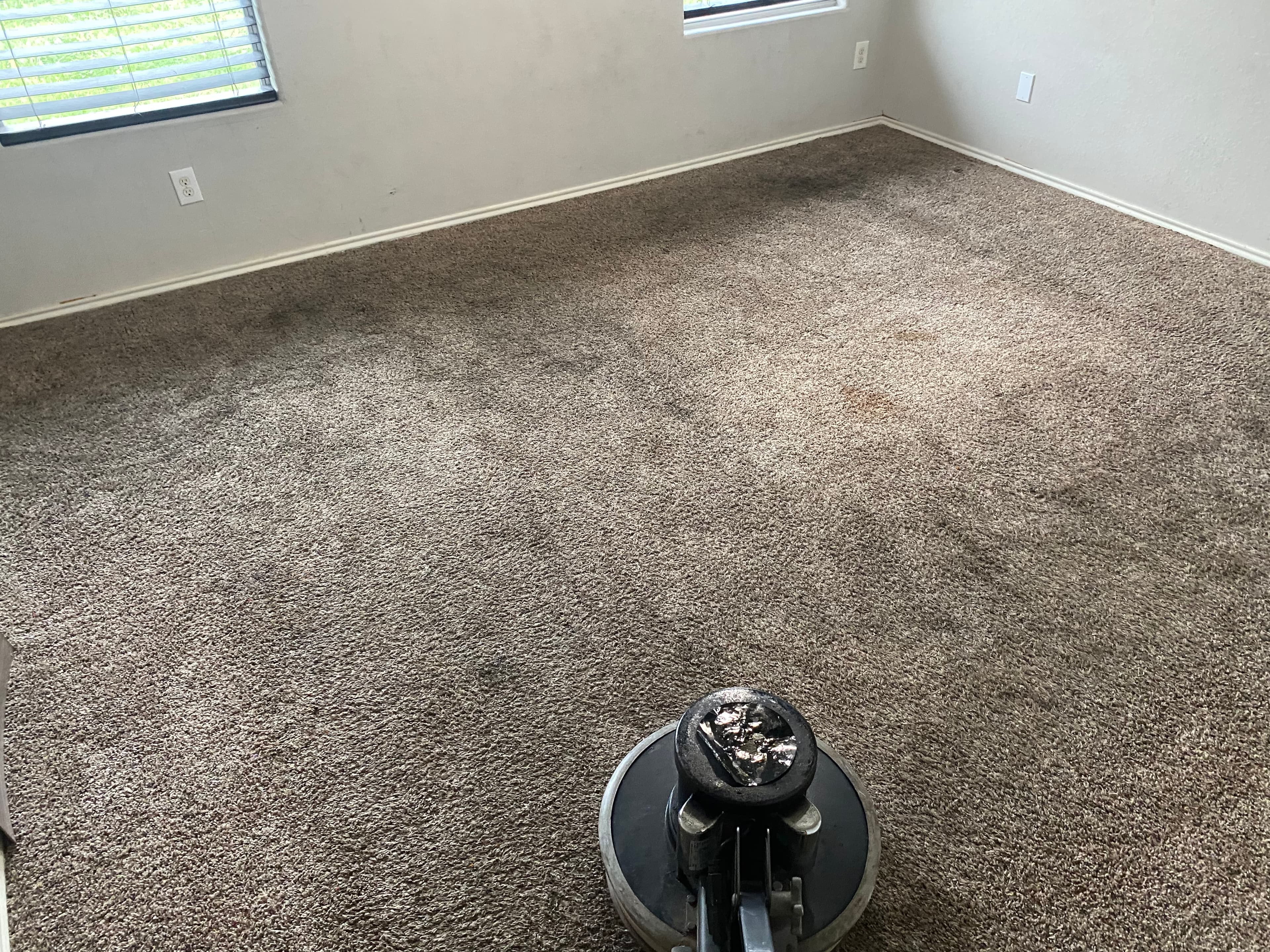 Professional floor buffer cleaning a large area of beige textured carpet in a bright room.