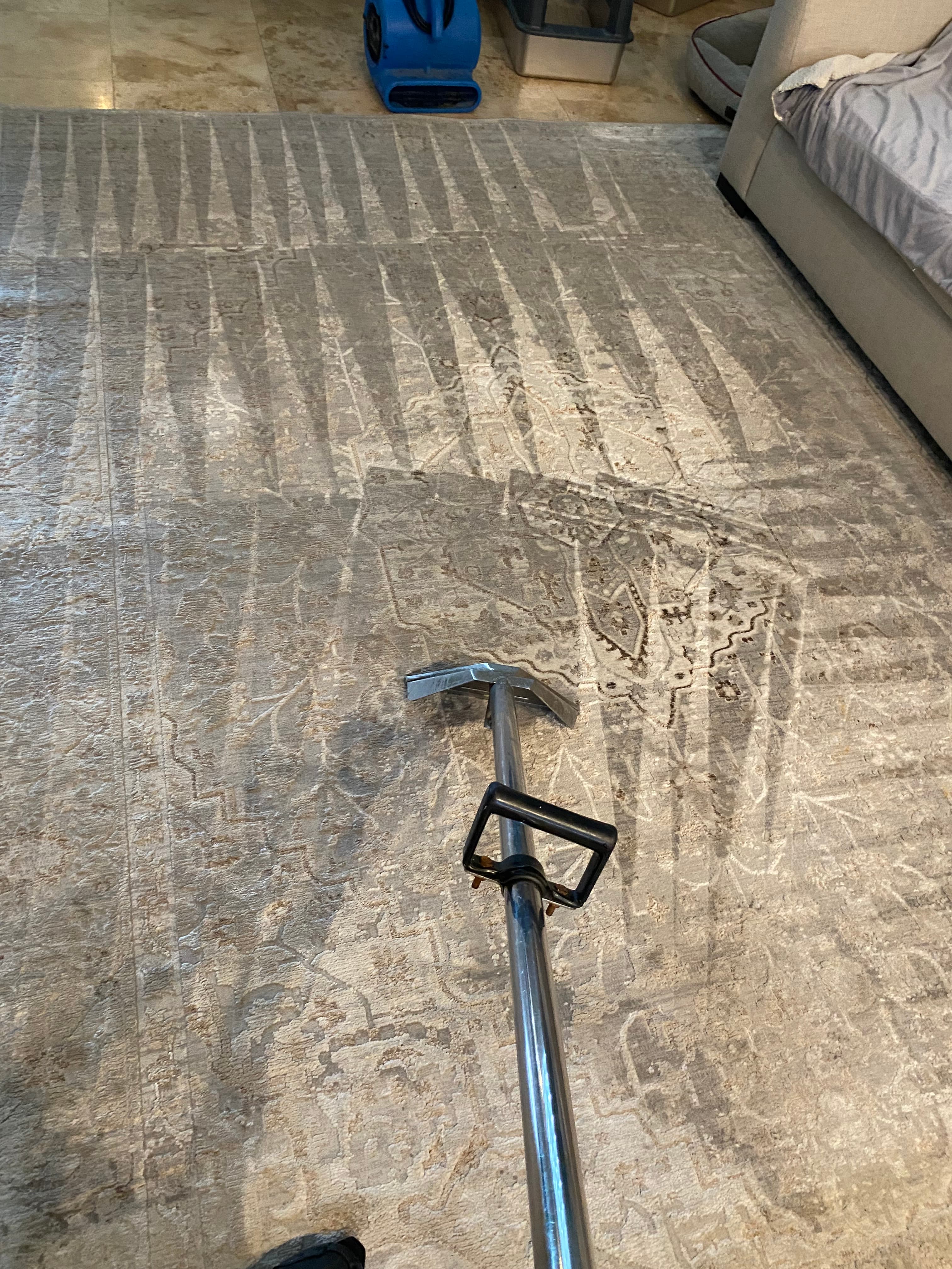 Professional carpet cleaning wand being used on a large, grey and beige patterned rug.